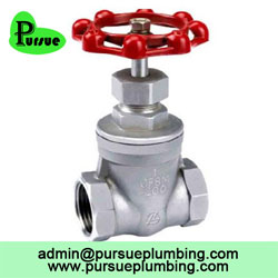 ss gate valve china supplier